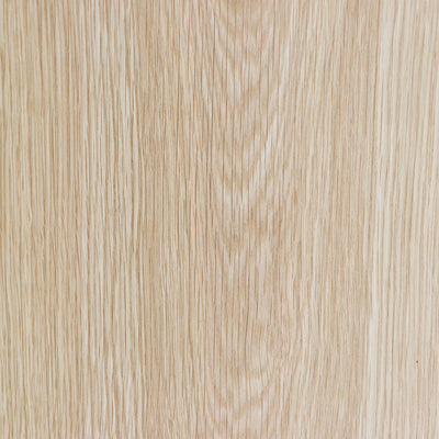 ハウタ ミラー（W600×D40×H1600）